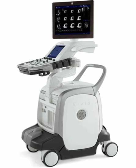 GE HealthCare Vivid E95 Vet