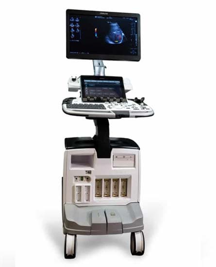 GE HealthCare LOGIQ E10 Vet